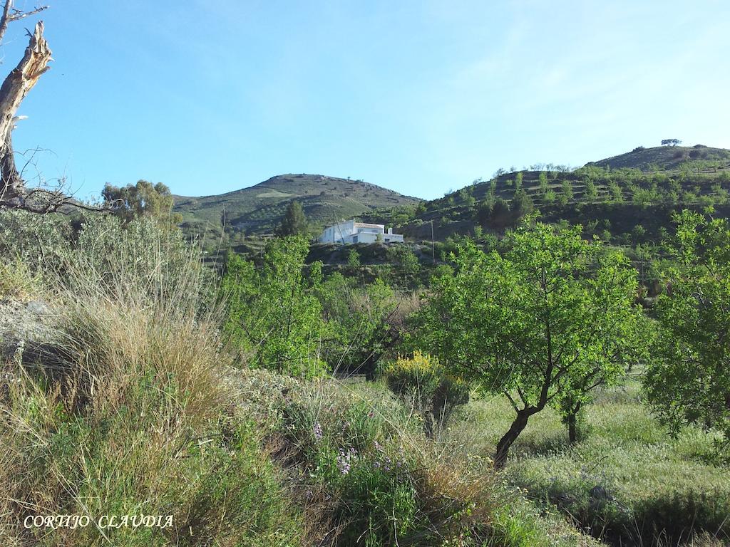 Cortijo Claudia Pensionat Taberno Exteriör bild